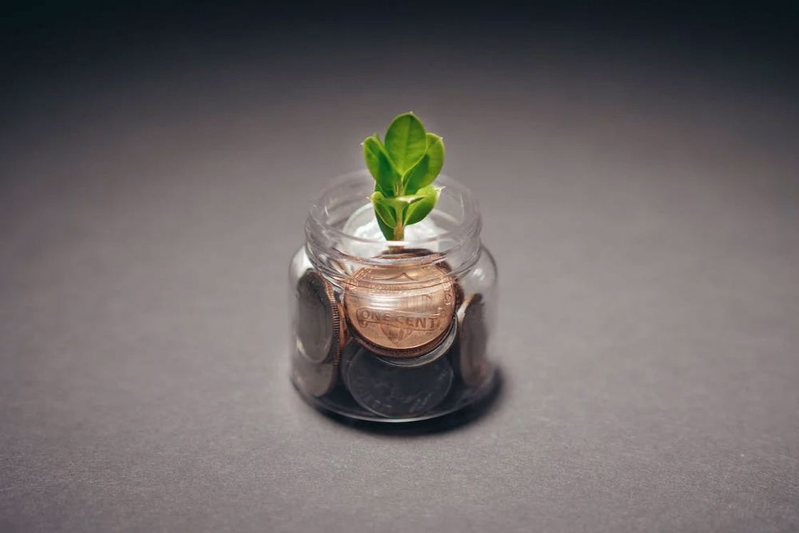 Plant sapling placed on a bottle filled with coins
