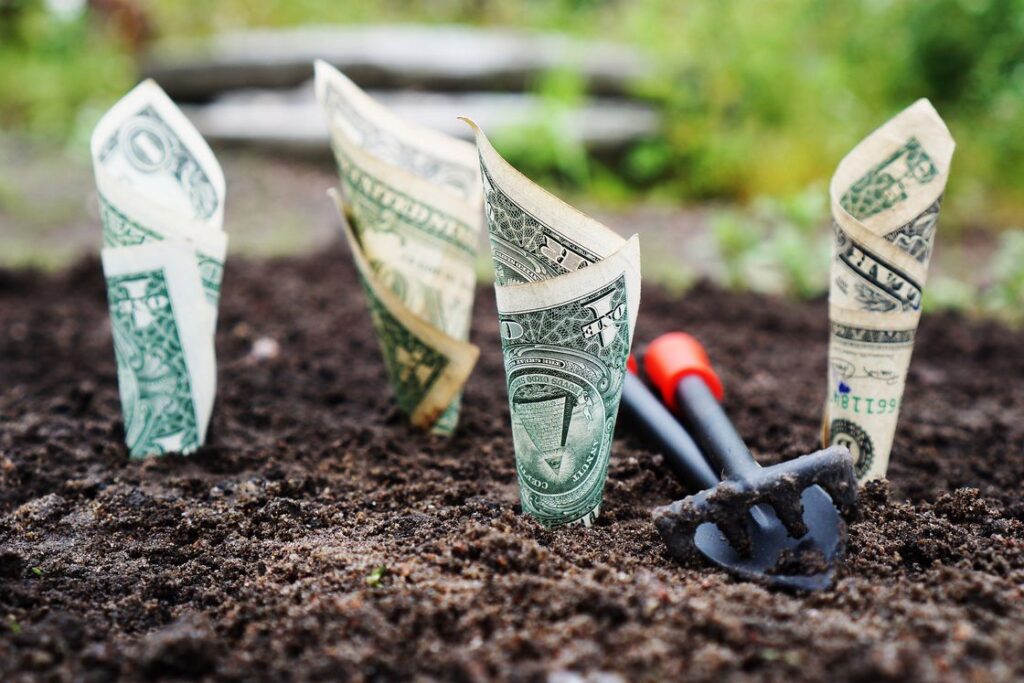 Dollar bills folded and planted on soil